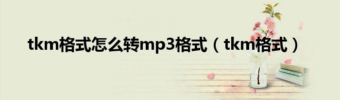 tkm格式怎么转mp3格式（tkm格式）