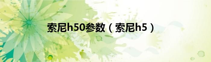 索尼h50参数（索尼h5）