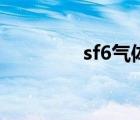 sf6气体检测仪（sf6气体）