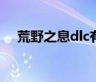 荒野之息dlc有必要买吗（荒野之息dlc）