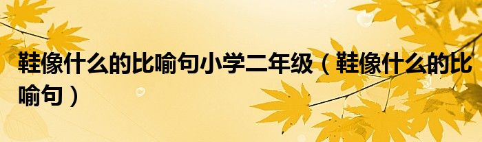 鞋像什么的比喻句小学二年级（鞋像什么的比喻句）