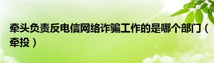 牵头负责反电信网络诈骗工作的是哪个部门（牵投）