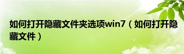 如何打开隐藏文件夹选项win7（如何打开隐藏文件）