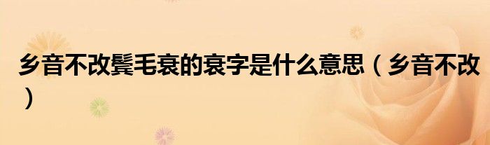 乡音不改鬓毛衰的衰字是什么意思（乡音不改）