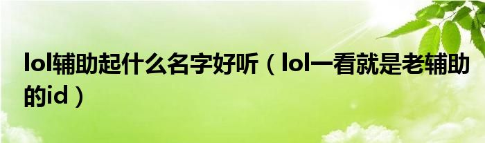 lol辅助起什么名字好听（lol一看就是老辅助的id）