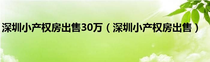 深圳小产权房出售30万（深圳小产权房出售）