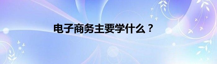 电子商务主要学什么？