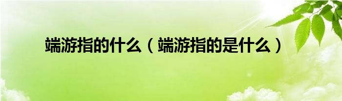 端游指的什么（端游指的是什么）