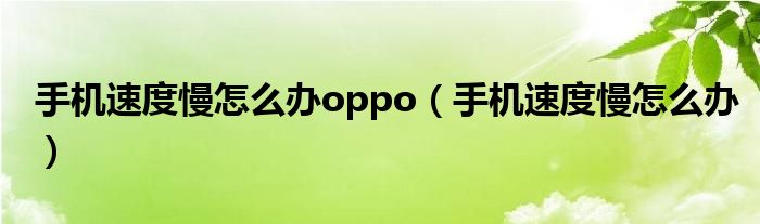 手机速度慢怎么办oppo（手机速度慢怎么办）