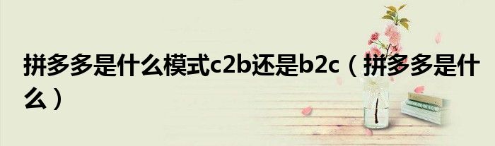 拼多多是什么模式c2b还是b2c（拼多多是什么）