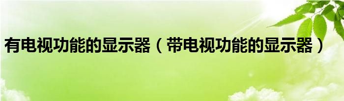 有电视功能的显示器（带电视功能的显示器）