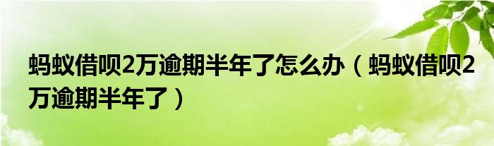 蚂蚁借呗2万逾期半年了怎么办（蚂蚁借呗2万逾期半年了）