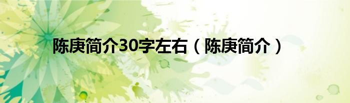 陈庚简介30字左右（陈庚简介）