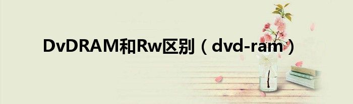 DvDRAM和Rw区别（dvd-ram）