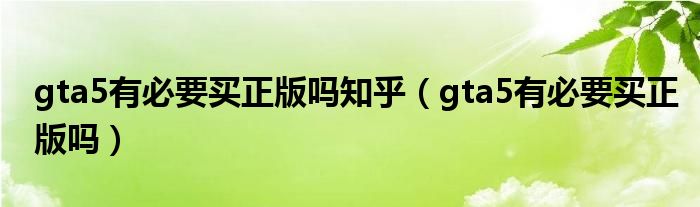 gta5有必要买正版吗知乎（gta5有必要买正版吗）