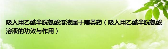 吸入用乙酰半胱氨酸溶液属于哪类药（吸入用乙酰半胱氨酸溶液的功效与作用）