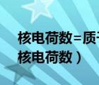 核电荷数=质子数=核外电子数=原子序数（核电荷数）