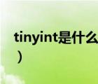 tinyint是什么数据类型（tinyint是什么类型）