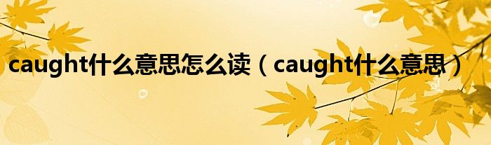 caught什么意思怎么读（caught什么意思）