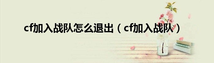 cf加入战队怎么退出（cf加入战队）