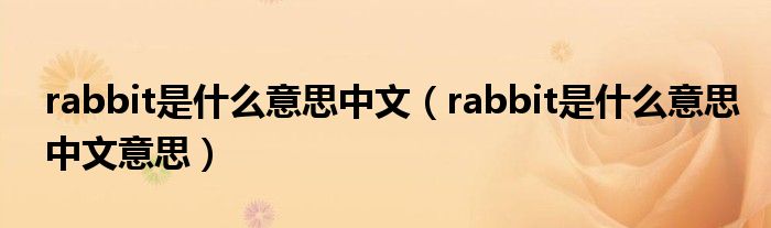 rabbit是什么意思中文（rabbit是什么意思中文意思）