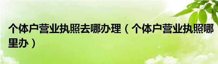 个体户营业执照去哪办理（个体户营业执照哪里办）