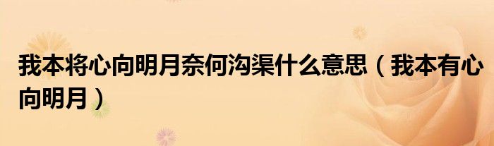 我本将心向明月奈何沟渠什么意思（我本有心向明月）