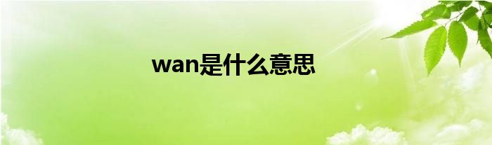 wan是什么意思