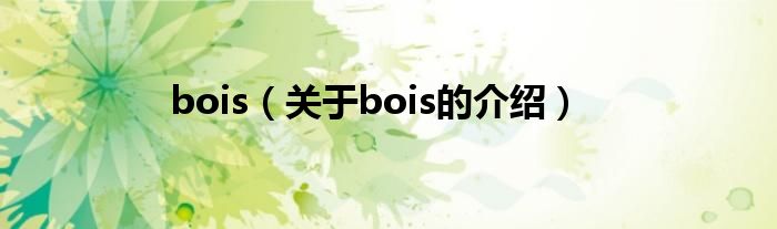 bois（关于bois的介绍）