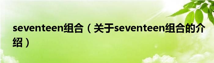 seventeen组合（关于seventeen组合的介绍）