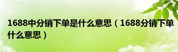 1688中分销下单是什么意思（1688分销下单什么意思）