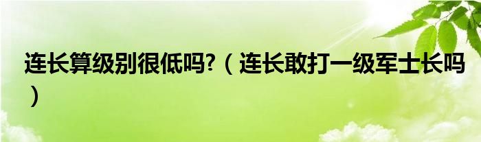 连长算级别很低吗?（连长敢打一级军士长吗）