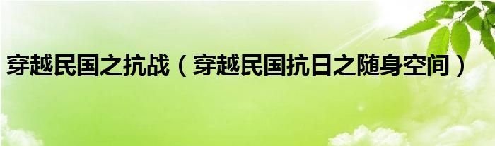 穿越民国之抗战（穿越民国抗日之随身空间）