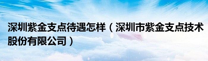 深圳紫金支点待遇怎样（深圳市紫金支点技术股份有限公司）