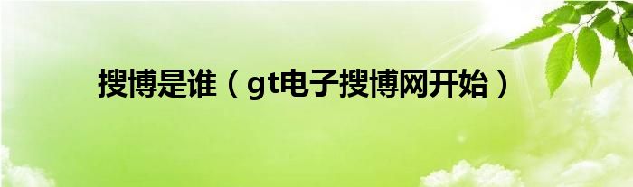 搜博是谁（gt电子搜博网开始）