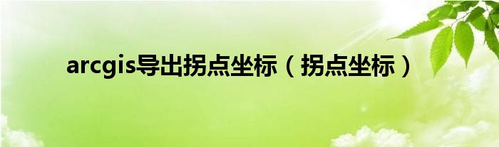 arcgis导出拐点坐标（拐点坐标）