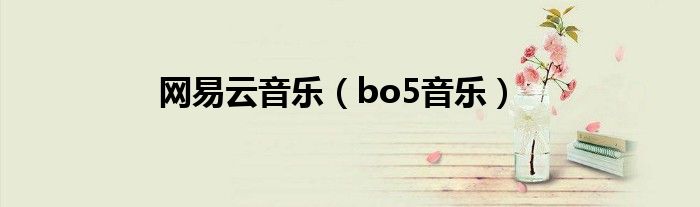 网易云音乐（bo5音乐）