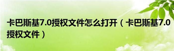 卡巴斯基7.0授权文件怎么打开（卡巴斯基7.0授权文件）