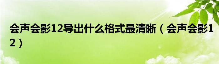 会声会影12导出什么格式最清晰（会声会影12）