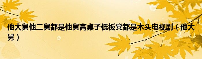 他大舅他二舅都是他舅高桌子低板凳都是木头电视剧（他大舅）