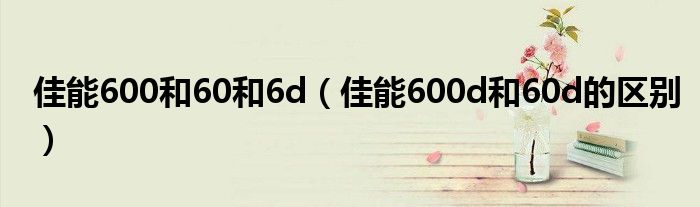 佳能600和60和6d（佳能600d和60d的区别）