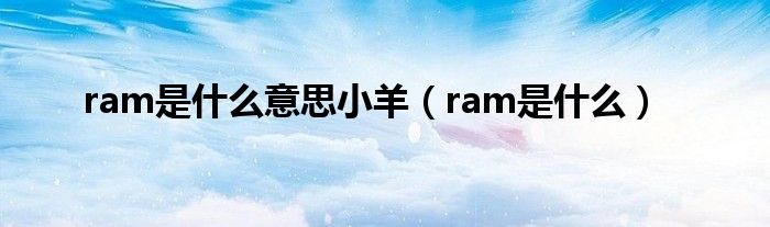 ram是什么意思小羊（ram是什么）