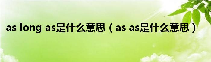 as long as是什么意思（as as是什么意思）