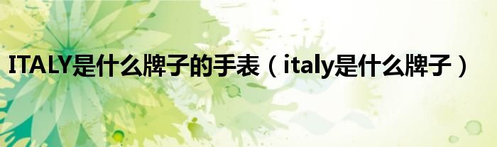 ITALY是什么牌子的手表（italy是什么牌子）