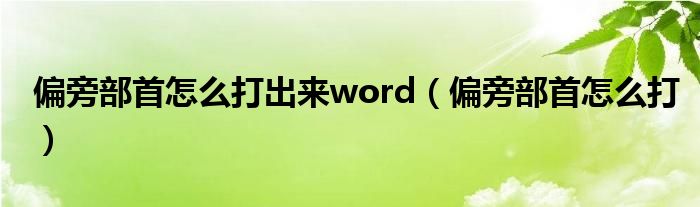 偏旁部首怎么打出来word（偏旁部首怎么打）