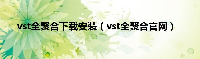 vst全聚合下载安装（vst全聚合官网）