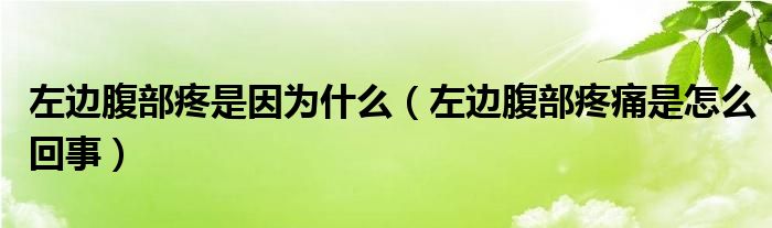 左边腹部疼是因为什么（左边腹部疼痛是怎么回事）