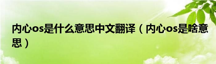 内心os是什么意思中文翻译（内心os是啥意思）