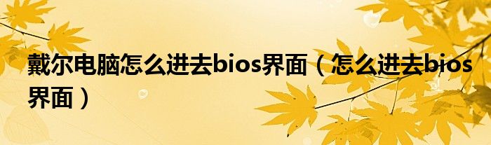 戴尔电脑怎么进去bios界面（怎么进去bios界面）