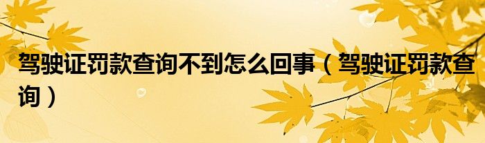 驾驶证罚款查询不到怎么回事（驾驶证罚款查询）